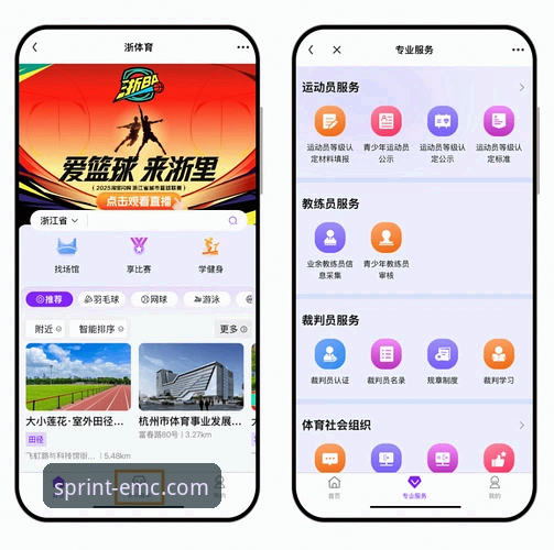 易倍体育平台官方入口使用体验详解
